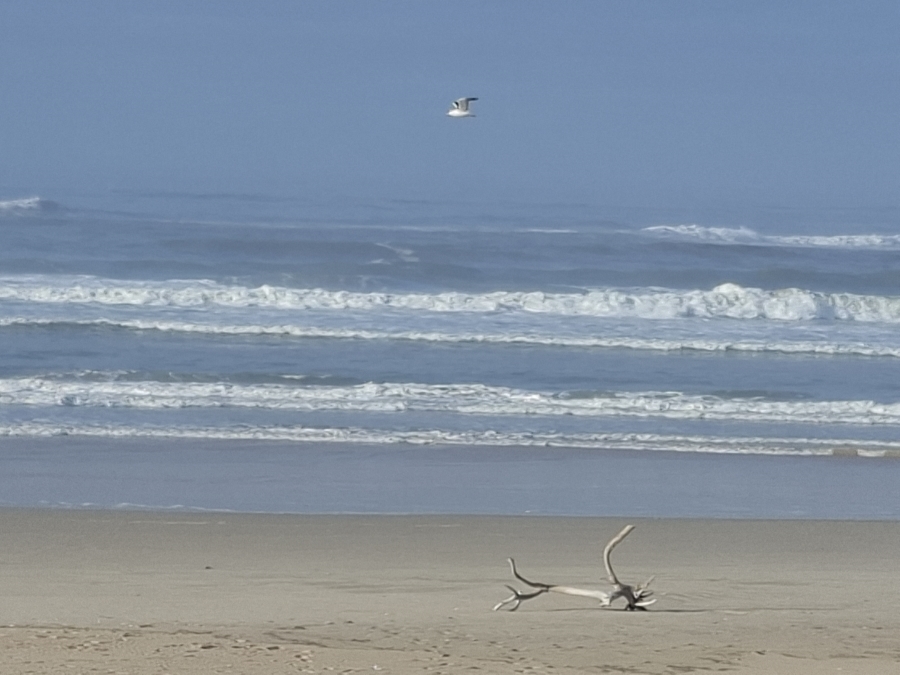 4 Bedroom Property for Sale in Paradise Beach Eastern Cape